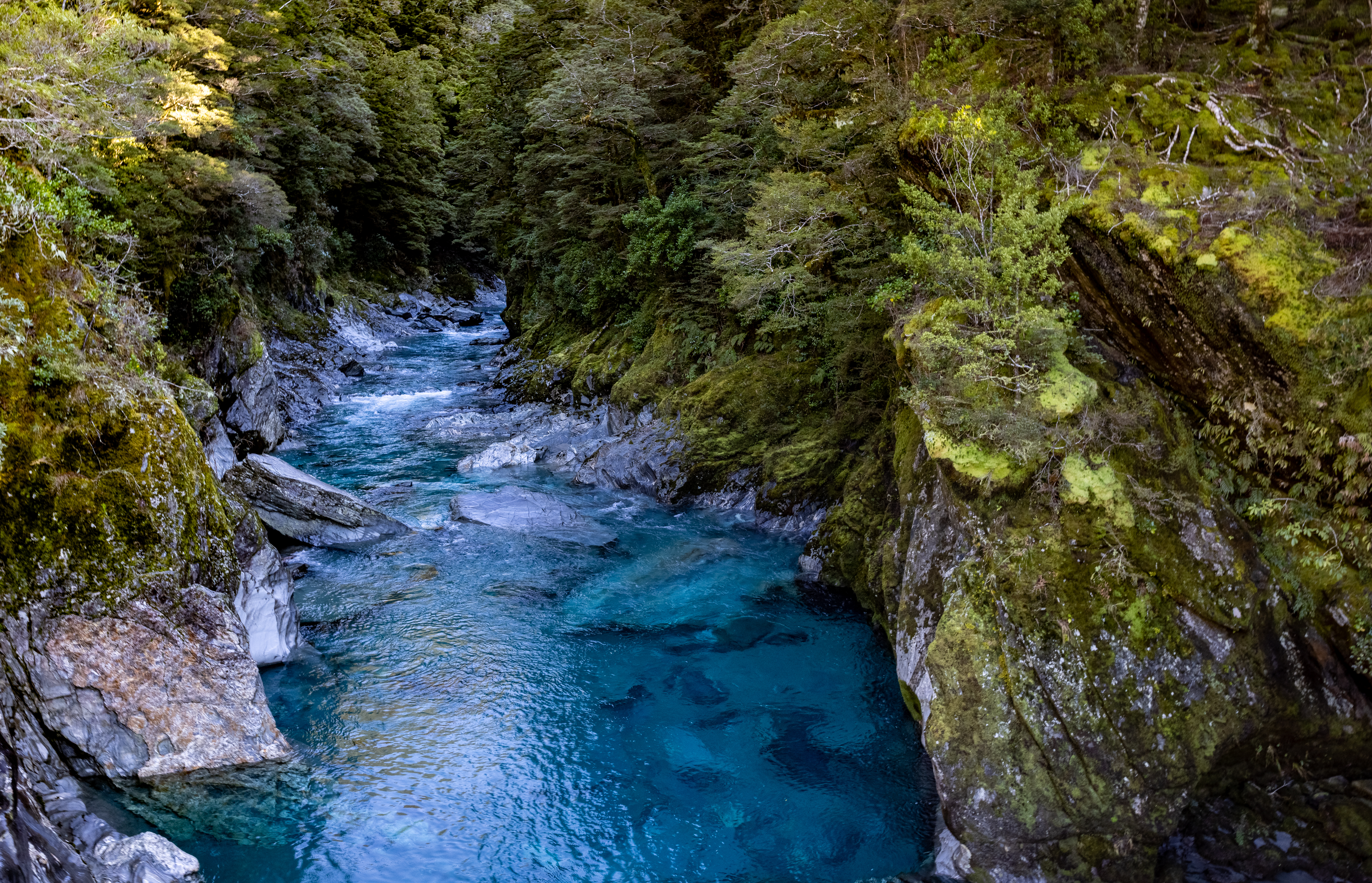 Clear blue river cutting through dense green forest