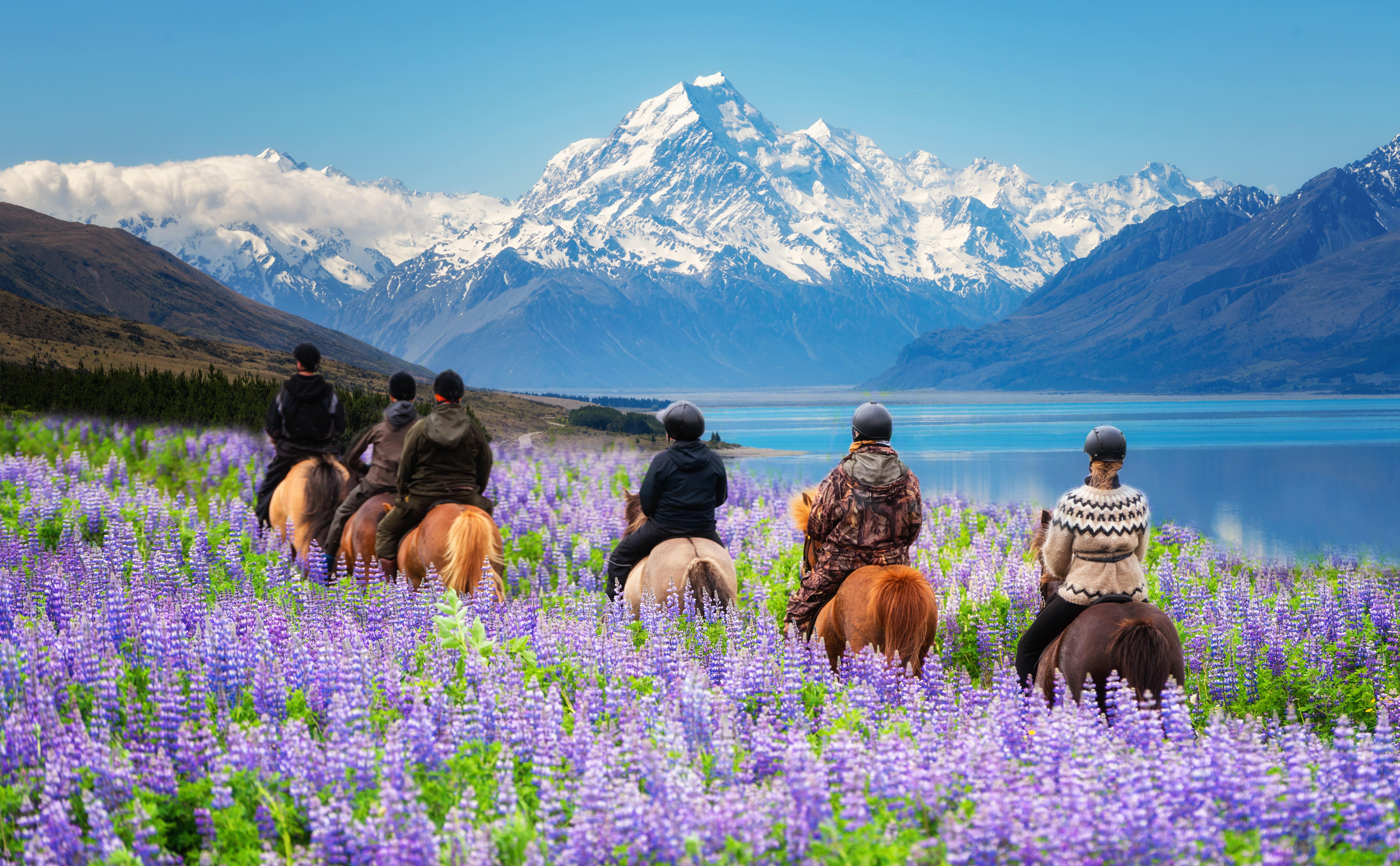 Travellers horse riding through a New Zealand mountain landscape