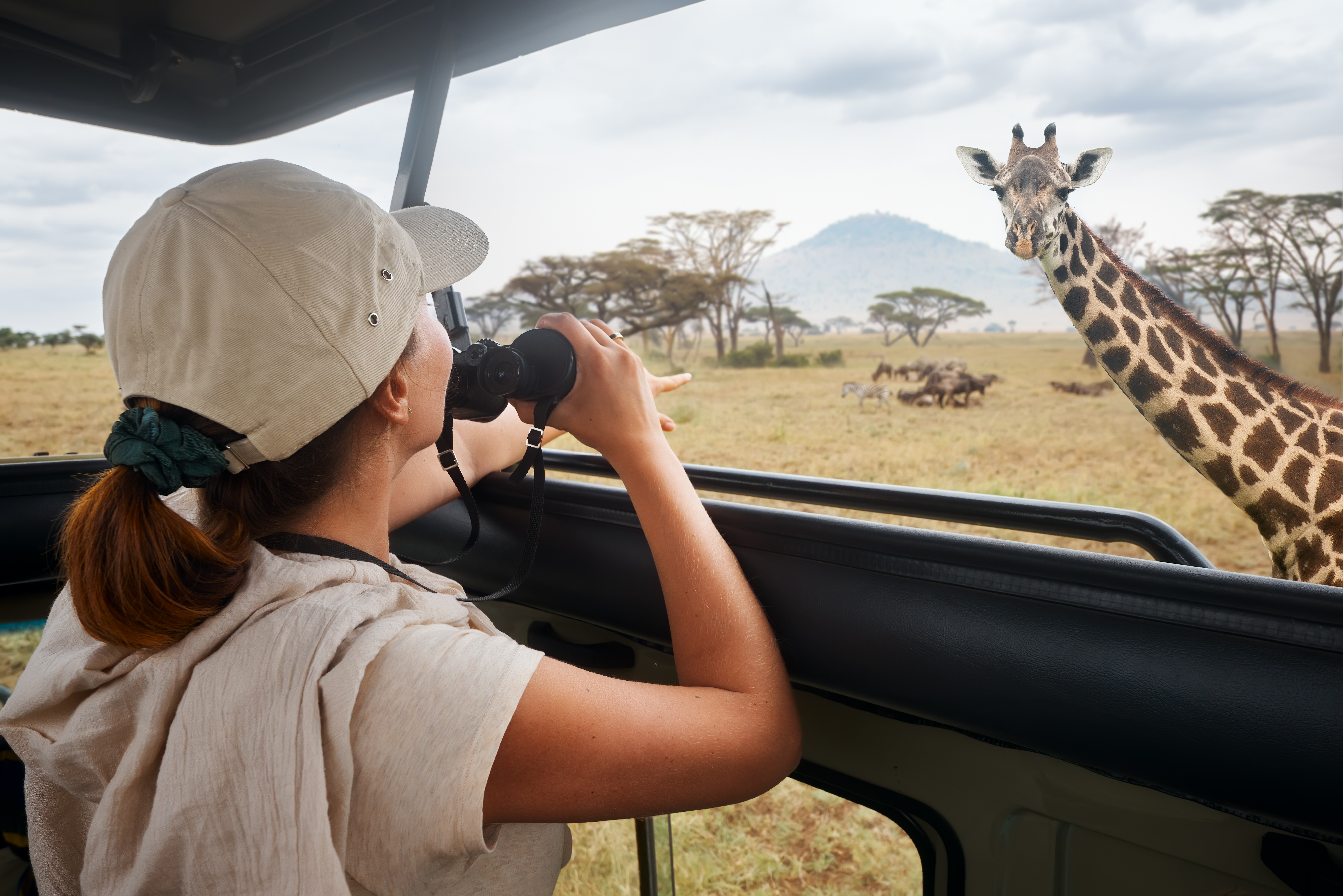 Traveller watching giraffes and antelopes during an African safari